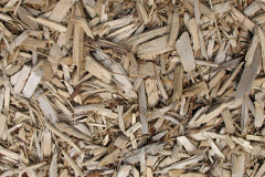biomass boilers Deganwy